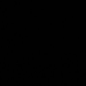 Meet your Posher, Katelyn